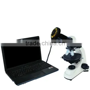 5.0MP HD High Sensitivity DBMVV3000-500P Digital Polarizing Microscope thumbnail-1