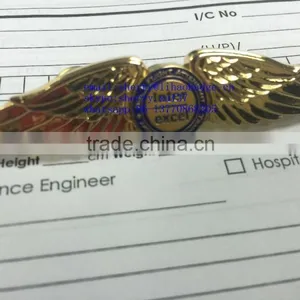 Zinc Alloy Metal Wing Bagdes,gold Pilot Wing Lapel Pins, Wing Emblem thumbnail-1