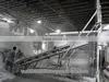 NATIVE TAPIOCA/CASSAVA STARCH - Vilaconic.export15(@)gmail.com thumbnail-6