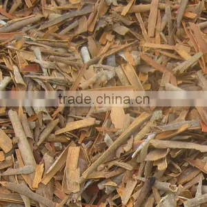 CINNAMON BROKEN thumbnail-2