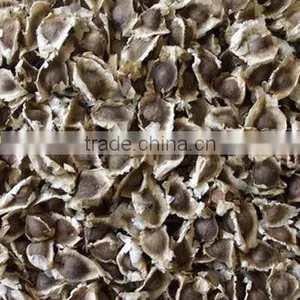 MORINGA SEED FOR AYURVEDIC REMEDY thumbnail-2