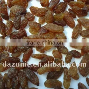 2011 Sultana Raisin thumbnail-1