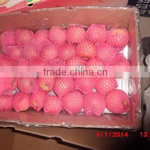 Wholesale Prices Fresh Apple Fruit / Red Fresh Apple thumbnail-2