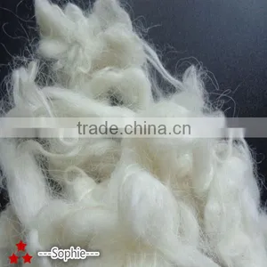 Wholesale and New Scoured and Combed Wool thumbnail-1