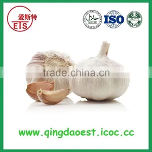 Chinese Jinxiang Grade A Fresh Normal White Garlic on Sale thumbnail-2