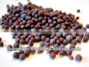 Black Mustard Seeds thumbnail-1