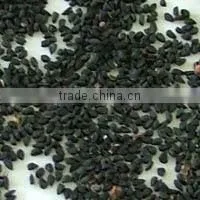 Black Cumin OIl thumbnail-4