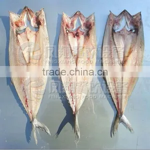FGB-170 Fish Belly Splitting Fish Fillet Length Cutting Machine (Video)WhatsApp :+86 18819432901 thumbnail-6