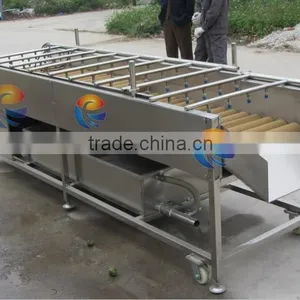 New Condition Commercial Washing Machine Fruit Washing Machine / Vegetable Washing Machine Apple Washer With Brush Rollers thumbnail-3