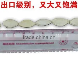 Raw Organic Pumpkin Seeds Shine Skin From China thumbnail-1