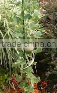 Plant Support thumbnail-1