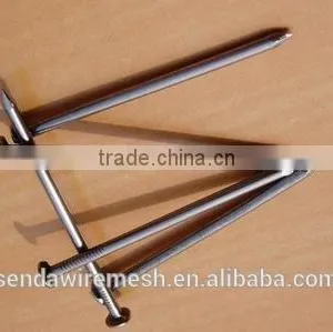 Q215 Building Nails thumbnail-1
