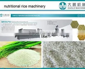 DP70 Instant Nutritional Rice Processing Machine /making Equipment/planting Machine in China thumbnail-1