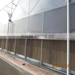 Plastic Greenhouse for Vegetable/Flower Raising thumbnail-4