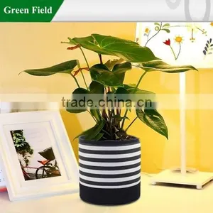 Green Field Beautiful Living Room Plant Pot Grow Flower Pot thumbnail-1