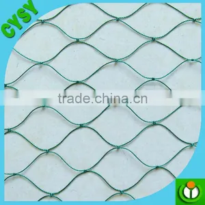 High Quality 100% Virgin HDPE Vineyard Anti Bird Net/bird Protection Netting thumbnail-5