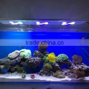 135w New Design Coral Reef Led Aquarium Light for 3ft 6ft Marine Tank thumbnail-3