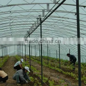 UV Protect Anti Fog Transparent Coextruded PE Cover Film PE Mulch Film for Grape Greenhouse thumbnail-3