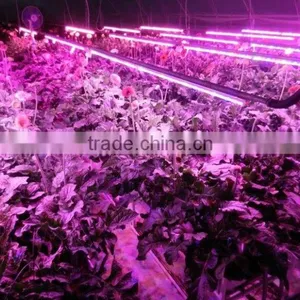 Wholesale Price Led Light for Orchids Optimum Light for Grow Plants 20w T8 4ft With Daisy-Chain thumbnail-1