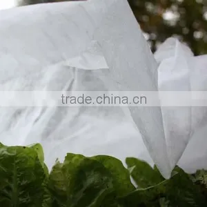 PP Mulch Fleece , Frost Protection Fleece (50g/m2) thumbnail-4