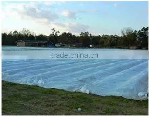 uv Tratados Tela no Tejida la Agricultura uv Stabilizer pp thumbnail-1