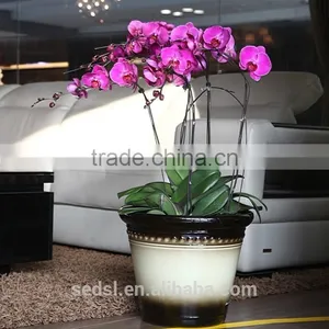 Plastic Material Christma Ornament Hydroponic Air Flowering Pot thumbnail-1