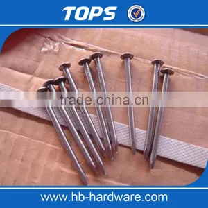 Polish Common Nail Iron Nail Factory thumbnail-2