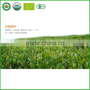 Fuding White Tea, Bai Hao Yin Zhen, Fujian White Silver Needle thumbnail-5