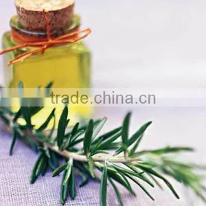 Rosemary Oil thumbnail-1