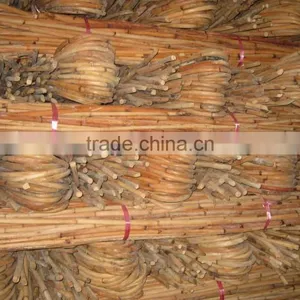 Red Water Rattan Cane thumbnail-1