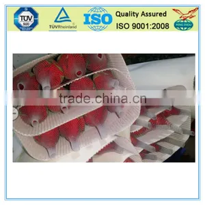 10*1cm Rose Bud Protection Netting thumbnail-1