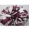 Poms(5) thumbnail-1