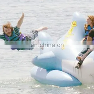 Hot Sale Inflatable Surf and Slide thumbnail-1
