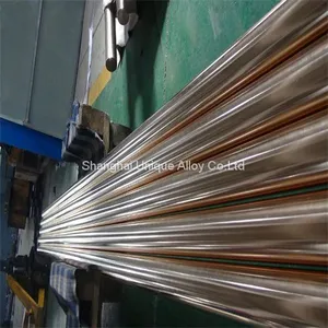 Beryllium Copper Bar Alloy 310 thumbnail-1