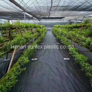 2*100m 100gsm Black Weed Control Mat,orchard Tree Ground Cover Anti Weed Mat,PP Material Agricultural Weed Barrier Mat thumbnail-3