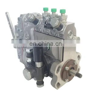 BYC Injection Pump 02232387 0223 2387 for Bei Nei Deutz Engine thumbnail-3