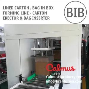 Case Erector and Bag Inserter For Forming Lined Cartons thumbnail-4