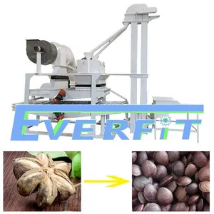 Producing Sacha Inchi Oil Machine in China | Sacha Inchi Shelling Machine thumbnail-3