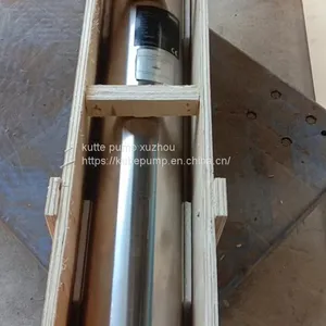 Deep Well Submersible Pump thumbnail-1