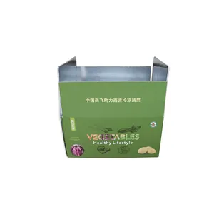 Insulated Carton With Foil Foam Cooler Boxes Delivery Moving Kits Foam Shipping Containers Food Cold Chain Shipping thumbnail-1