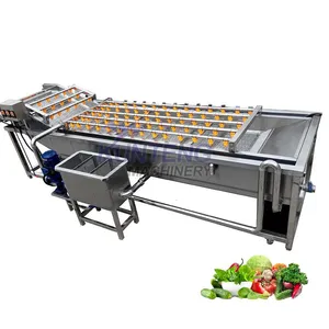 Automatic Conveyor Belt Vibrating Avocado Fruit Washer and Veggie Coconut Radish Washing Snail Cleaning Machine for Industry EPC thumbnail-1