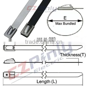 Types Of Stainless Steel Cable Ties thumbnail-2