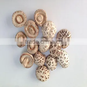 Dried White Flower Mushroom Export Products of Singapore thumbnail-5