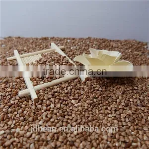 High Quality Hot Sale Black Bitter Buckwheat for Tea (Fagopyrum Esculentum) thumbnail-4