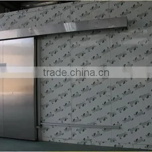 Cold Storage Electric Sliding Door thumbnail-2