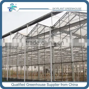High Quality Glass Greenhouse for Vegetable Quality Choice thumbnail-2