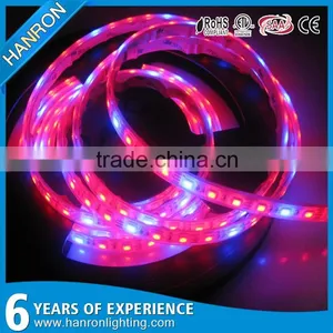 Shenzhen Factory Growing Lights LED 3w LED Grow Light for Growing thumbnail-3