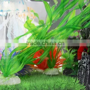 Lovely Aquarium Landscaping Mineral Water Plant Cost thumbnail-2