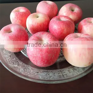 Pome Fruit Product Type and Apple Type Fresh Fuji Apples Sweet Apples Common Apples thumbnail-5