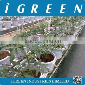 Dutch Pot Vegetable Growing System thumbnail-3
